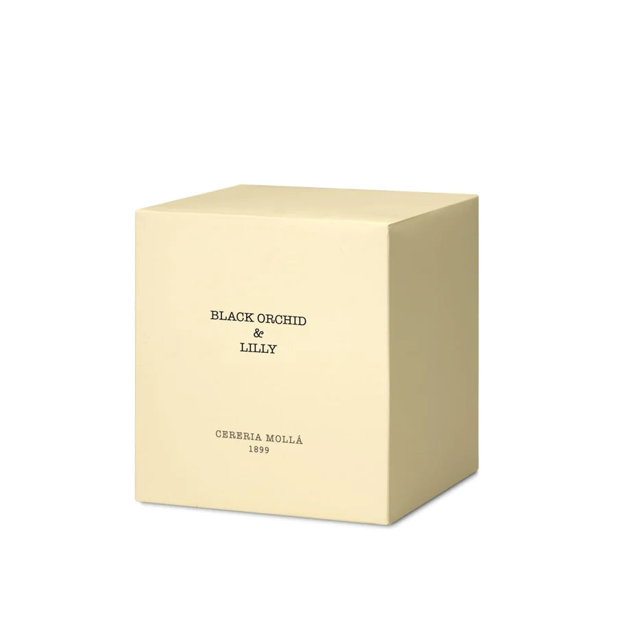 Black Orchid & Lily 3 Wick Candle